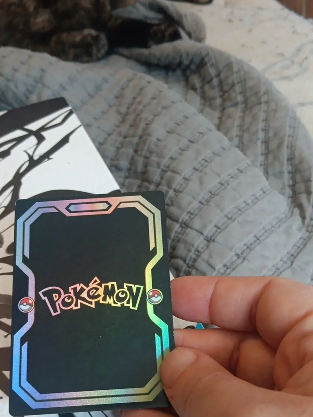 Pokemon Eevee Holographic Foil Card - Black, Multicolor